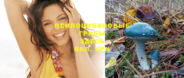 ГАЛЛЮЦИНОГЕННЫЕ ГРИБЫ Алексеевка