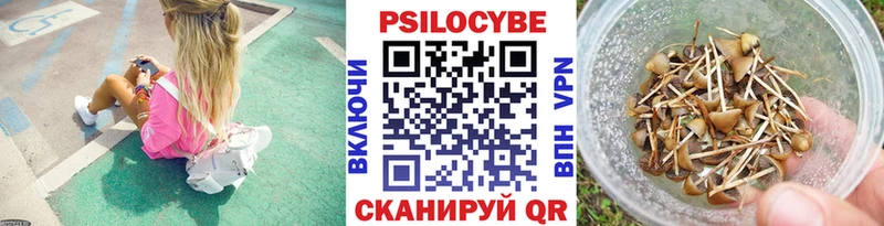 Галлюциногенные грибы Cubensis  хочу наркоту  Коряжма 